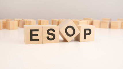selective focus. word ESOP is written on a wooden cubes structure. blocks on a bright background. can be used for business and financial concept.