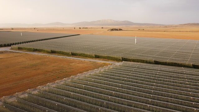 View of an agricultural landscape with multiple crops growing