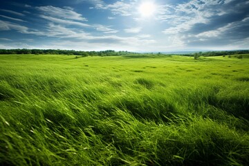 Beautiful field of lush green grass. Generative AI