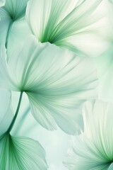 Fresh, delicate, ethereal tropical leaves background with a mist effect, translucent rainforest greenery design