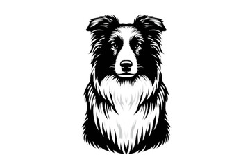 Vector isolated one single sitting Border Collie dog head front view black and white bw two colors silhouette. Template for laser engraving or stencil, print for t shirt - obrazy, fototapety, plakaty