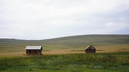 Isolated barns in a field covered in greenery in the countryside