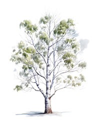 Obraz premium Winter Tree Sublimation Clipart with Watercolor, Transparent Background, transparent png, Created using generative AI