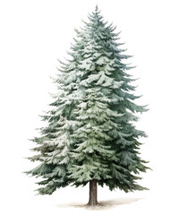 Fototapeta premium Winter Tree Sublimation Clipart with Watercolor, Transparent Background, transparent png, Created using generative AI