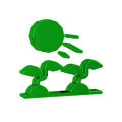 Green Plant sprouts grow in the sun icon isolated on transparent background. Seedling concept.