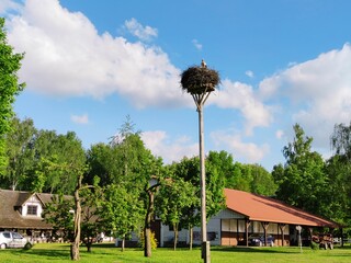 a nest is sitting on top of a pole in a park