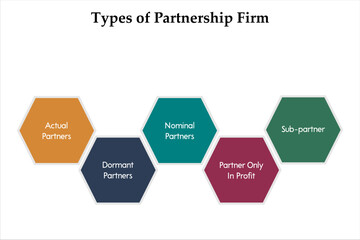 four Types of Partnership firm - Actual, Dormant, Nominal, Partner Only in profits, Sub-partner. Infographic template