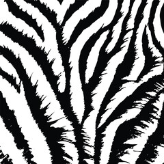 Print Animal Zebra pattern texture seamless black strip texture