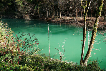 Beautiful view of a blue forest river in a tropical forest. Sochi, Khosta, Yew-boxwood grove, Russia.