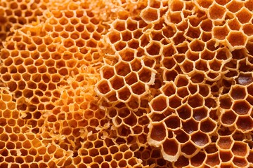 Close up of honeycomb. Generative AI.