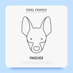 Pinscher head thin line icon. Dog breed. Editable stroke. Vector illustration.
