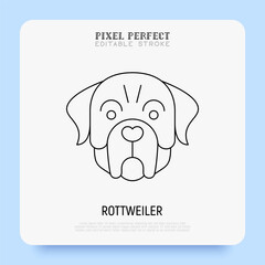Rottweiler head thin line icon. Dog breed. Editable stroke. Vector illustration.