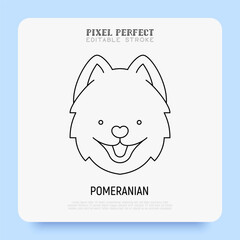 Pomeranian head thin line icon. Dog breed. Editable stroke. Vector illustration.