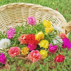 basket of flowers