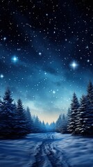 Fototapeta na wymiar Beautiful Surreal Winter Night and Starry Sky