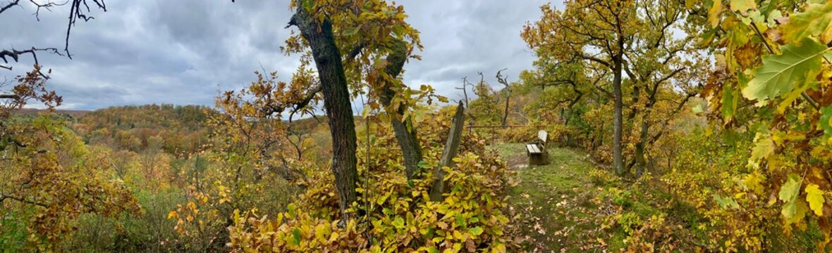 Der Aussichtspunkt Felsentor beo Neustadt im S&uuml;dharz