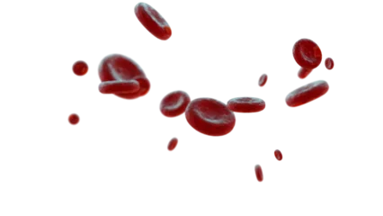 Fotobehang Red blood cells flowing through an artery on a transparent background. © AlexMelas