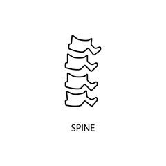 Spine bones and structure concept line icon. Simple element illustration.Spine bones and structure concept outline symbol design.