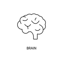 Human brain medical concept line icon. Simple element illustration. Human brain medical concept outline symbol design.