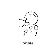 Sperm and egg concept line icon. Simple element illustration. Sperm and egg concept outline symbol design.