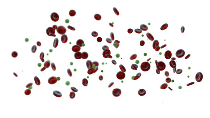 Coronavirus banner showing virus molecules in amongst red blood cells in the bloodstream on transparent background