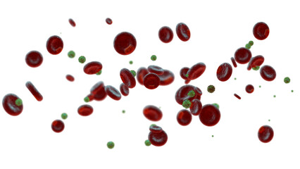 Coronavirus banner showing virus molecules in amongst red blood cells in the bloodstream on transparent background