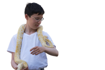 A teenage boy with a pet albino royal python on his neck. PNG