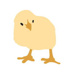 Chick