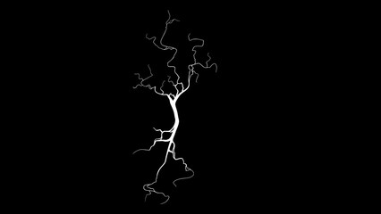 Grunge effect black background screen overlay and white background overly Old vintage and rough texture illustration photos effect, crack earth, aged wall, old wall texture, overly effect  download 