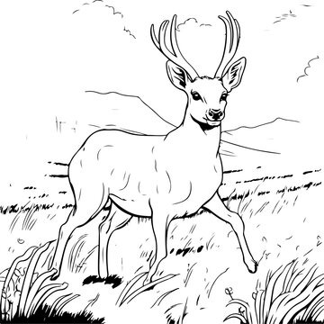 A deer is captured mid-leap coloring page