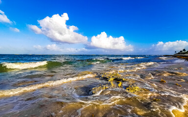 Stones rocks corals turquoise green blue water on beach Mexico.