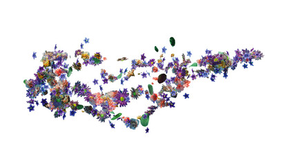 spring and summer flowers and flying petals on tranpsarent background