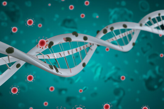 Epistasis Bilder Durchsuchen 331 Archivfotos, und