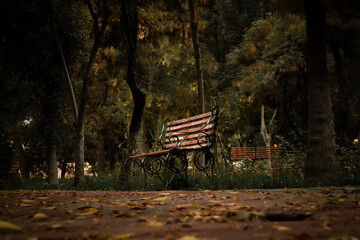 Sidewalk in the park