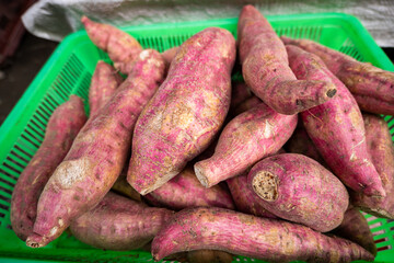 Japanese sweet potato, purple sweet potatoes, at a market