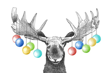 Funny Christmas moose with Christmas ornaments hanging from antlers, holiday party animal drawing for invitations or card, hand drawn sketch of moose
