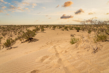Sand dunes, or desert landscape with sunset sky in Middle East.