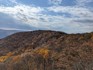 Foliage in Breakneck Ridge, Cold Spring, New York - October 2023