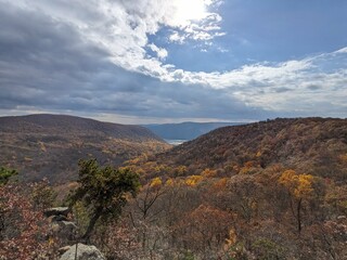 Fototapeta premium Foliage in Breakneck Ridge, Cold Spring, New York - October 2023