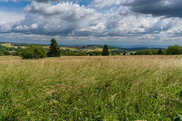 Fototapeta premium Rhönlandschaft am Heidelstein in der Langen Rhön, Biosphärenreservat Rhön, Bayern, Hessen, Deutschland.