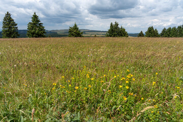 Rh&ouml;nlandschaft am Heidelstein in der Langen Rh&ouml;n, Biosph&auml;renreservat Rh&ouml;n, Bayern, Hessen, Deutschland.