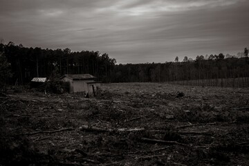 Grayscale of a barren landscape with an abandoned house near the woods