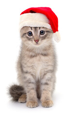 Kitten in Santa Claus Christmas hat.
