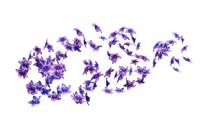 Wind swirls with flower petals isolated on transparent background. Realistic illustration of spiral air vortex with flying lily petals