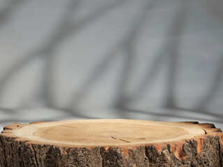 Tree Stump Cross Section Product Presentation Background