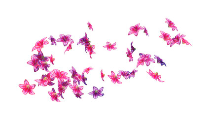 Beautiful flying lilys flowers on transparent background