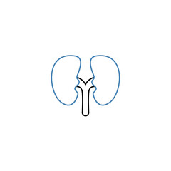 Kidney concept line icon. Simple element illustration.Kidney concept outline symbol design.