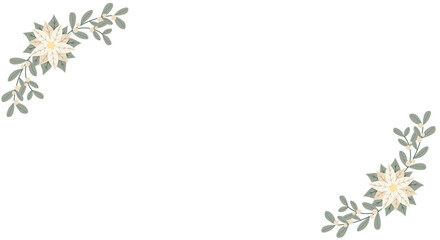 Christmas winter banner with flower white poinsettia and white berries. Perfect for  greeting card design