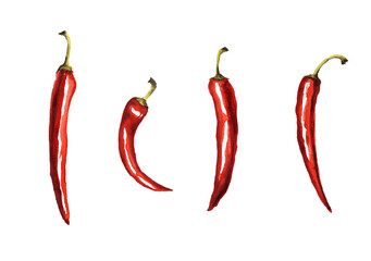 Red hot chili pepper, whole ripe pods set with green stems hand drawn fresh organic spice watercolor illustration