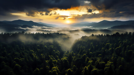sunrise in the mountains forest